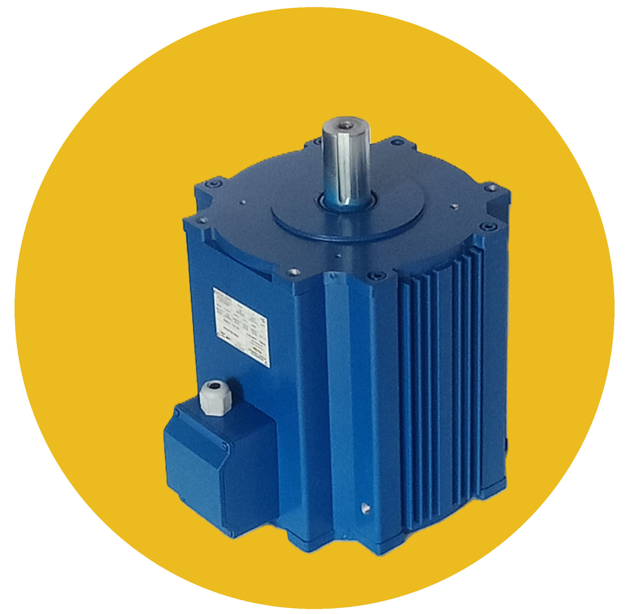 Pro-Syn Prospects Motor